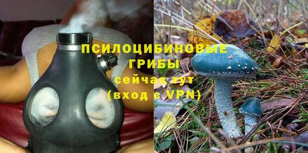 дживик Алексин