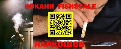 спайс Кингисепп