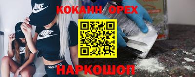 спайс Кингисепп