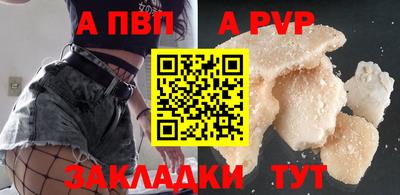 спайс Кингисепп