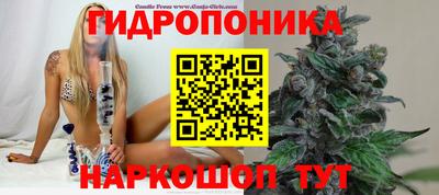 прущая мука Кимры