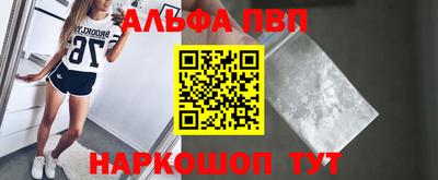 спайс Кингисепп