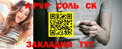 спайс Кингисепп