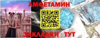 спайс Кингисепп