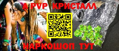 спайс Кингисепп