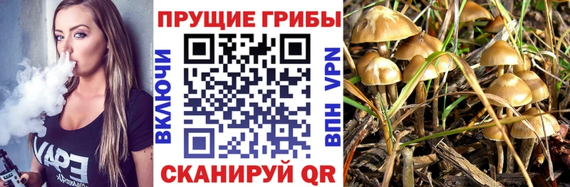 сайты даркнета как зайти Когалым Псилоцибиновые грибы прущие грибы