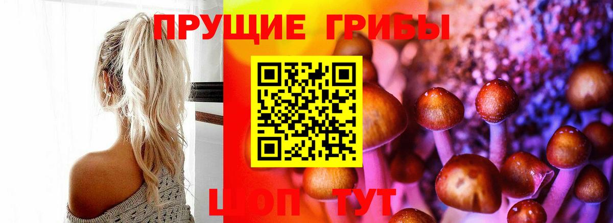 Галлюциногенные грибы прущие грибы  Вход с VPN  сколько стоит  Когалым  Псилоцибиновые грибы Cubensis 